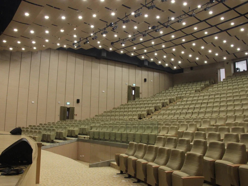 Auditoriums & Arenas