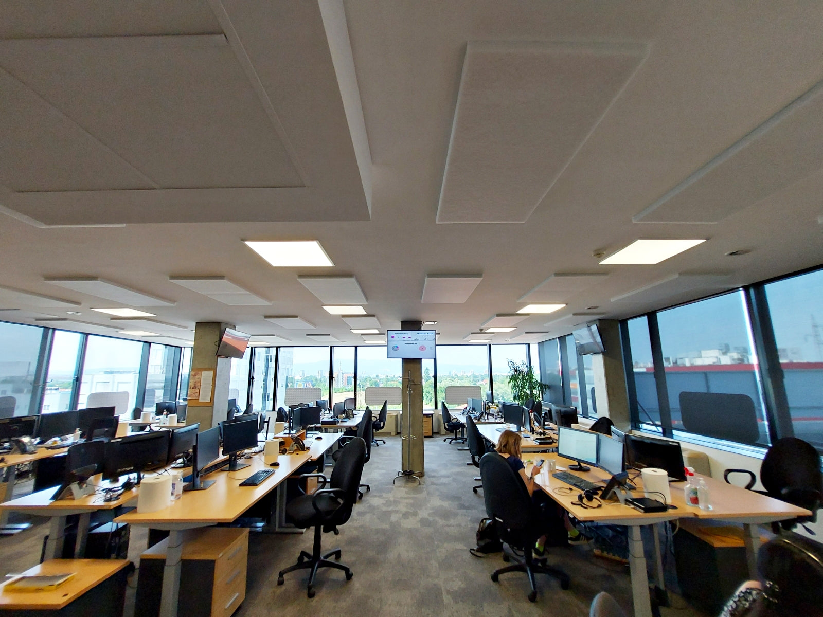 Call Center Acoustic Treatment