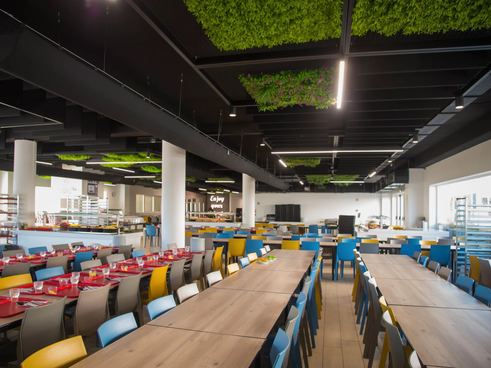 St Peter's International School Canteen Acoustic Treatment