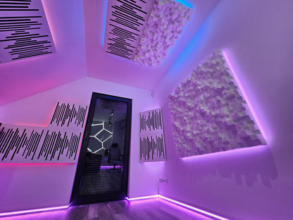 VicStudio Box MKII