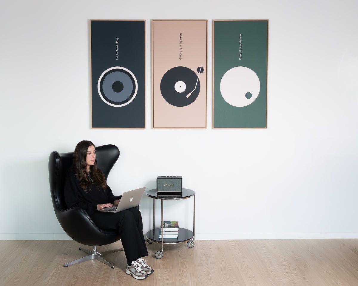 Echo Frame Music Acoustic Sound Absorbing Art Panel – Vicoustic